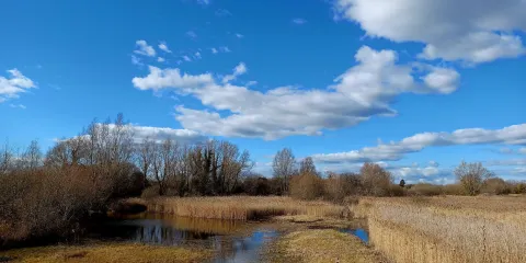 RSPB Fowlmere Nature Reserve