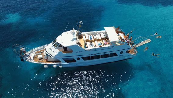 Navetta Sea Star