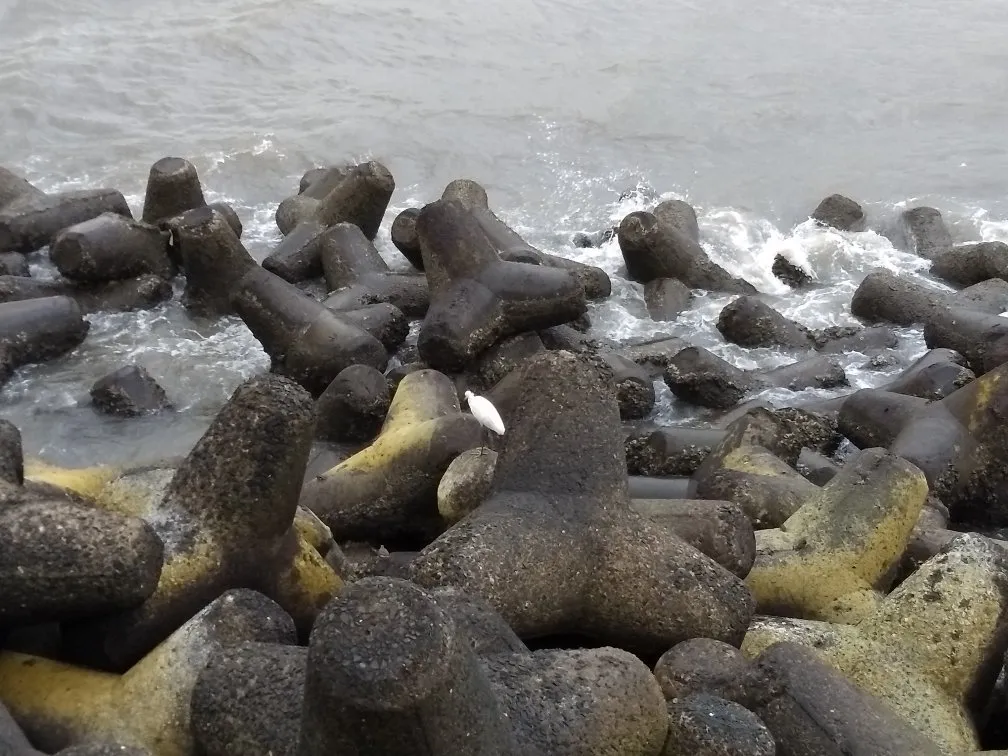 3_Nariman Point