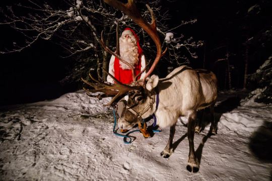 Salla Wilderness Park, Salla Reindeer Park