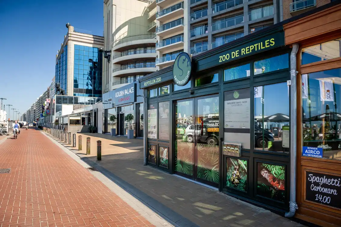 Hotels near ZOO Serpentarium
