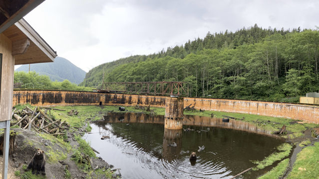 Fortress of the Bear