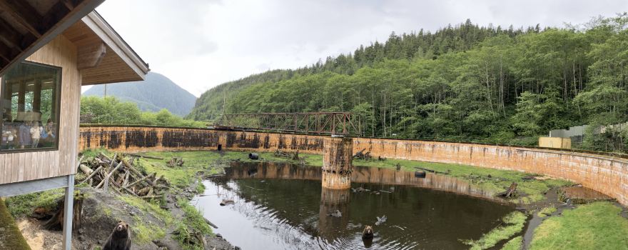 Fortress of the Bear