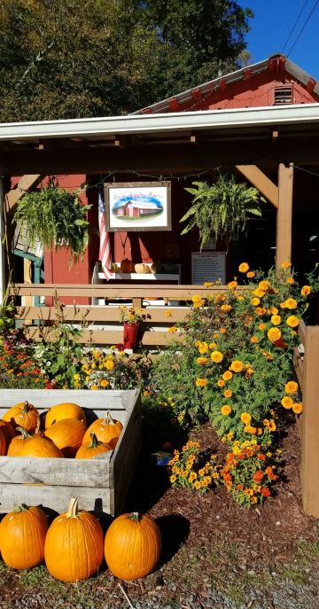Red Apple Barn