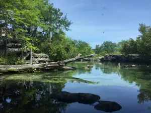 Flint RiverQuarium