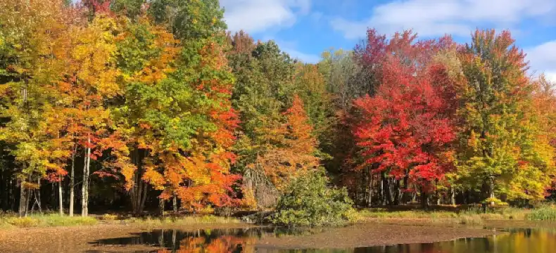 Hotels near Buffalo Niagara International Airport