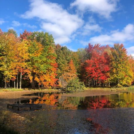 Reinstein Woods Nature Preserve