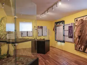 Centre d'interprétation du site archéologique Droulers-Tsiionhiakwatha