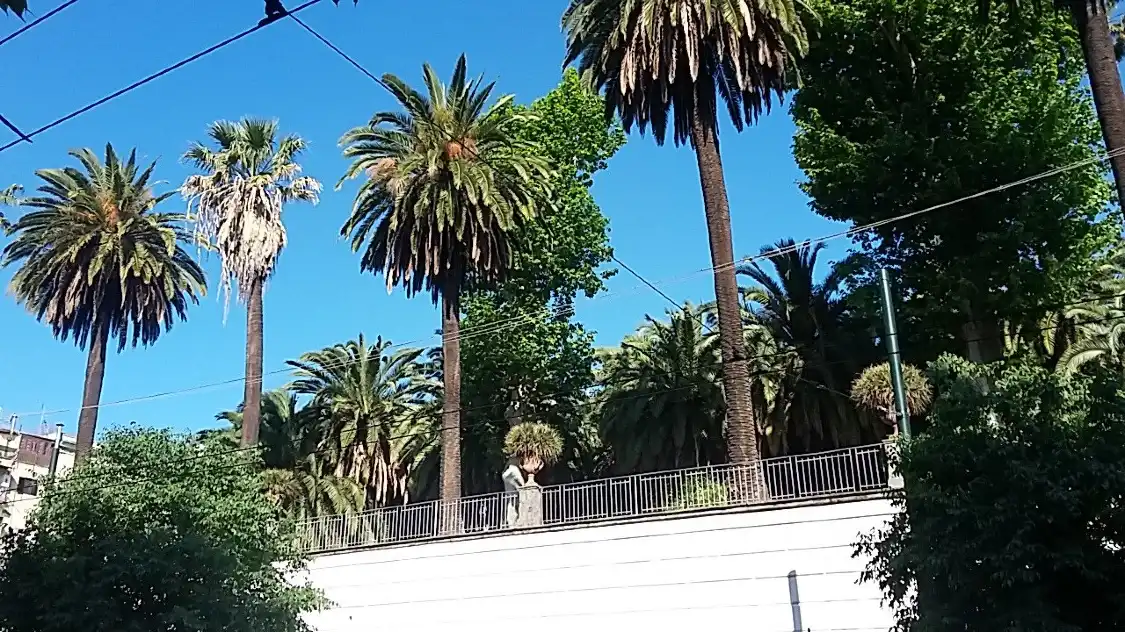 Hotel in zona Orto Botanico di Napoli