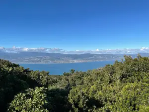 Kapiti Island Eco
