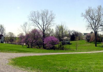 Old Jefferson Town