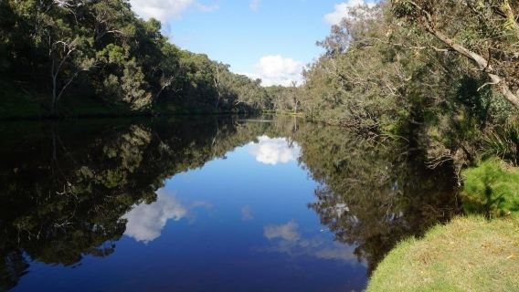 Blackwood River Park