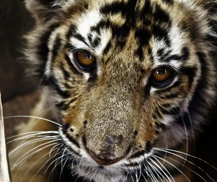 Hotels near JNB Wildlife Education