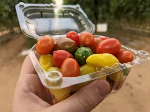 The Salad Trail