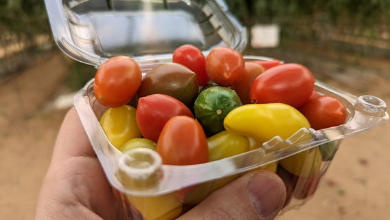 The Salad Trail