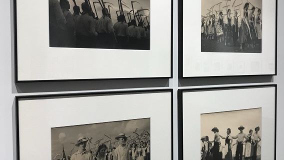Museum of Photography