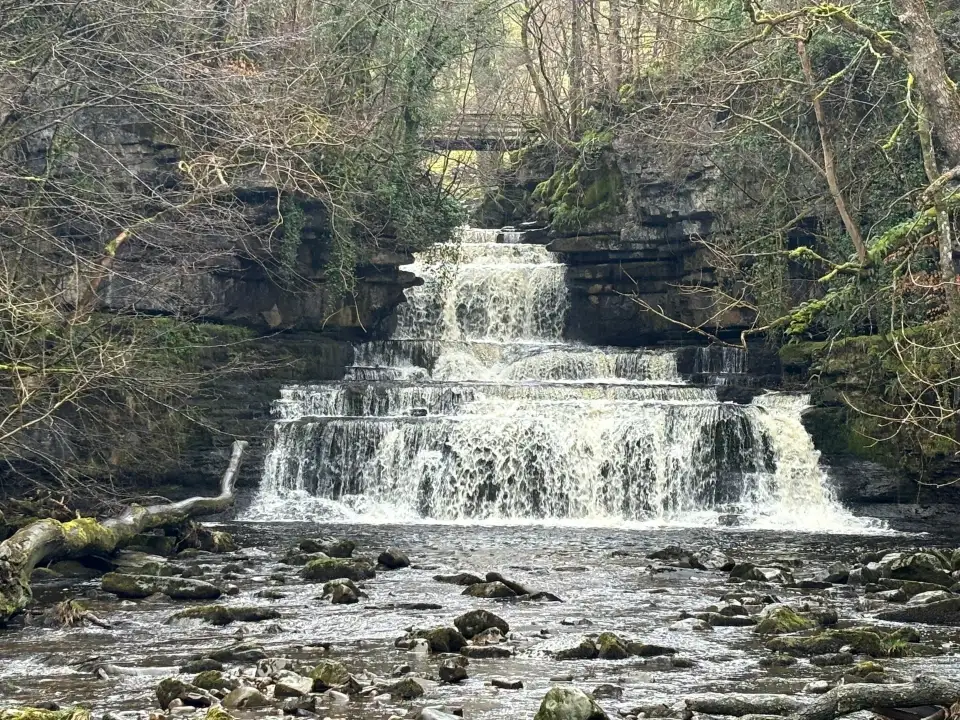 4_Cotter Force