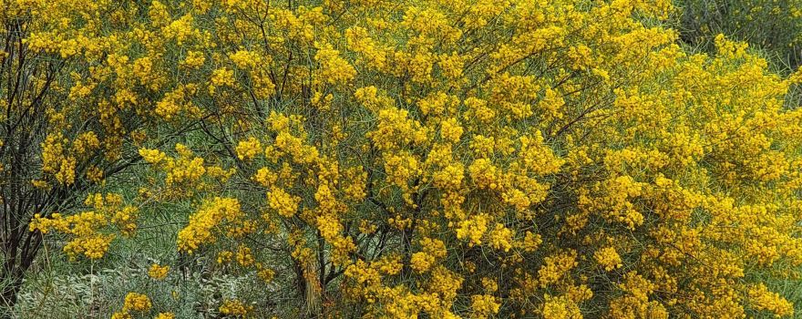 Narkoola National Park