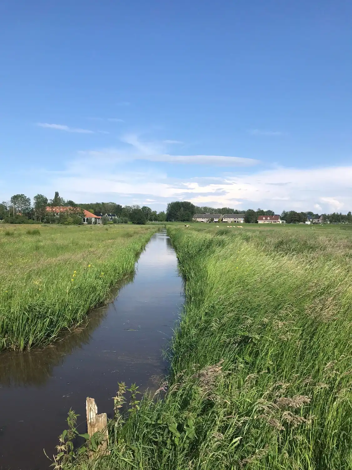 Hotels near Middelpolder