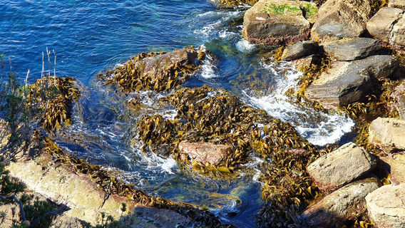 Eaglehawk Neck