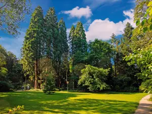 Sequoiafarm