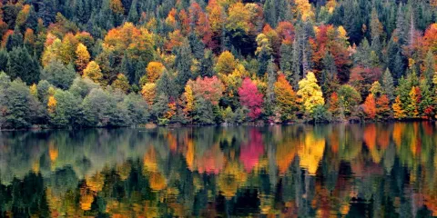 Barmsee
