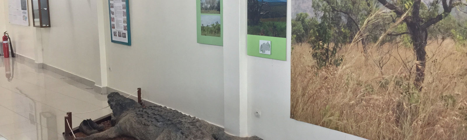 KibuyeExperiencias únicas