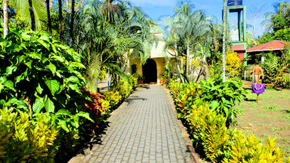 Tortuguero national park - Cuatro Esquinas sector
