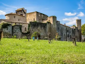 Entrance gate & fortifications