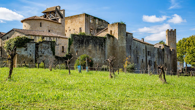Entrance gate & fortifications