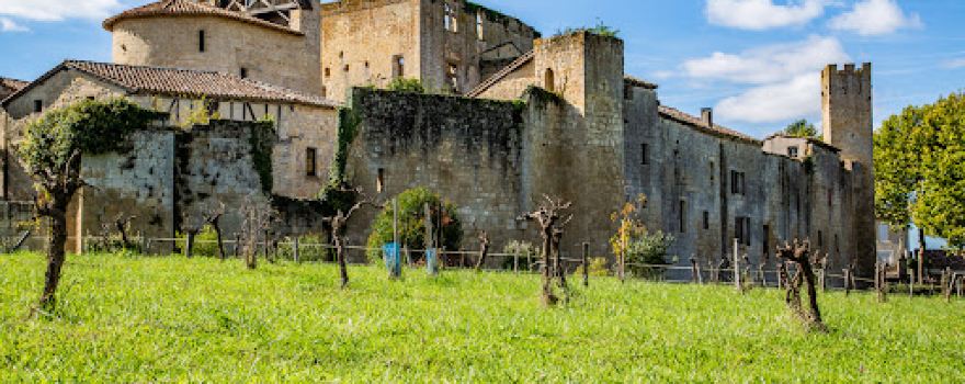 Entrance gate & fortifications