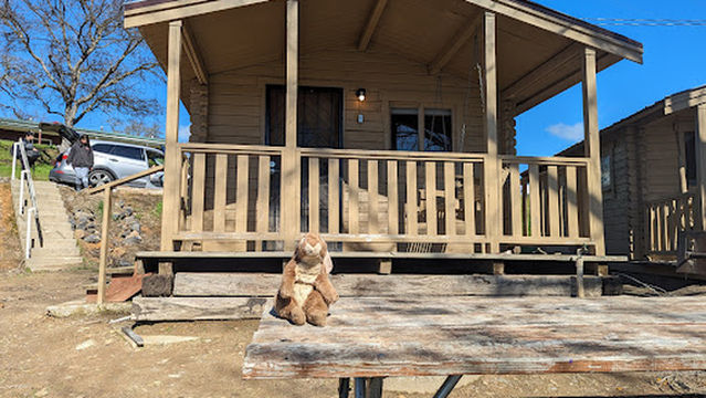 Lake Tulloch RV Campground & Marina