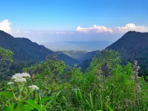 Mount Muria