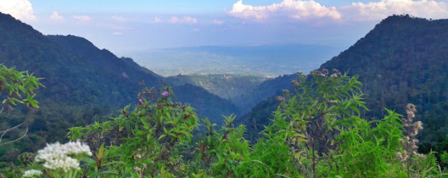 Mount Muria