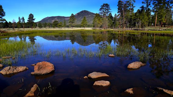 Dogtown Lake Campground And Group