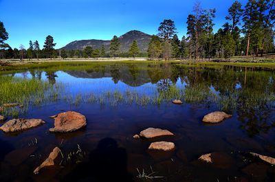 Dogtown Lake Campground And Group