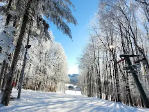 Skilift Zuckerfeld