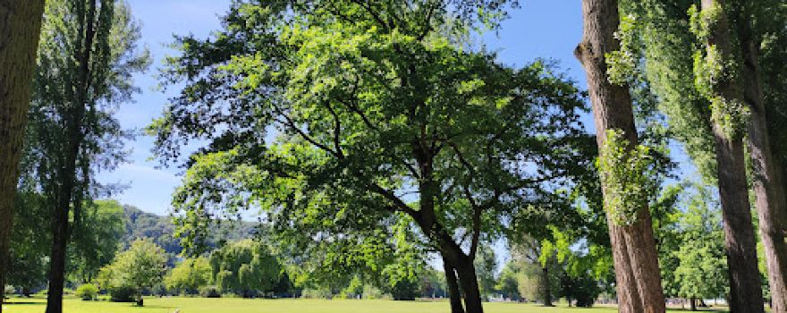 Freibad Bad Honnef