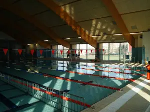 Pool "Goldfish"