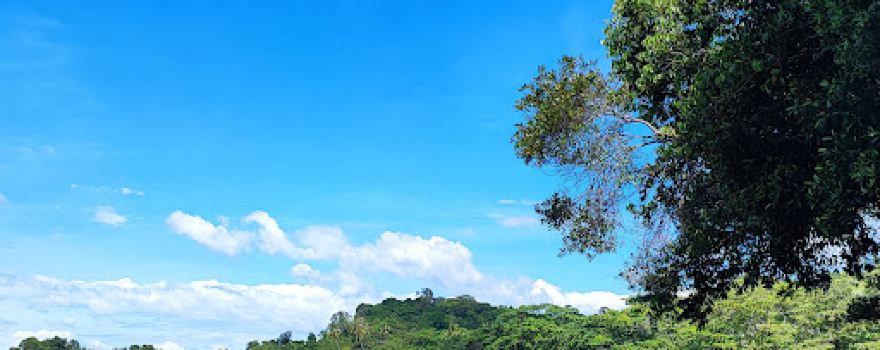 Pantai Pulau Sayak