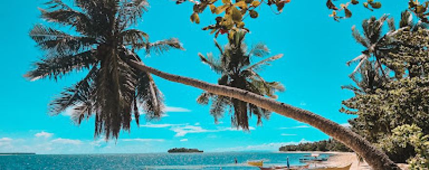 Alegria Beach