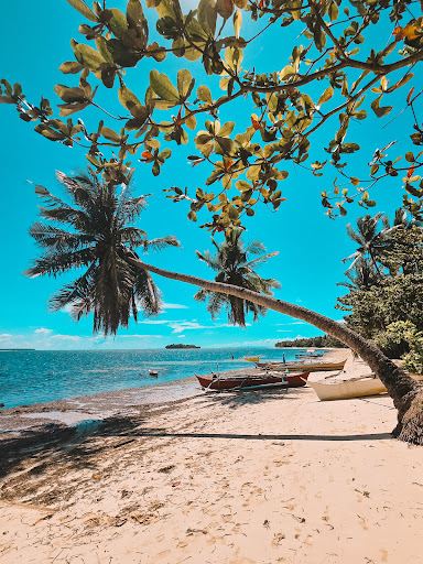 Alegria Beach