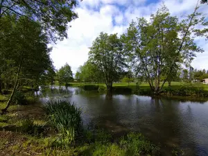 Camping Municipal de la Vègre