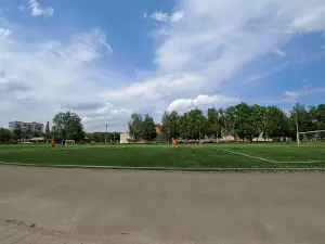 Stadion "Pioner"