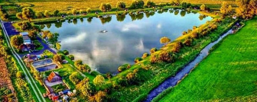 Manne's fishing pond at an angle
