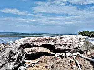 Playa El Jaguey