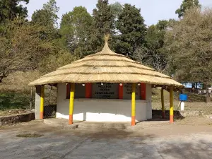 Camping la Bomba