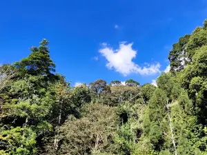 Wasai Wong Kadir Recreational Park
