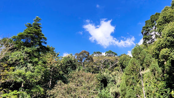 Wasai Wong Kadir Recreational Park