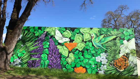 West County Regional Trail, Forestville, CA